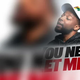You Never Let Me Go cover art
