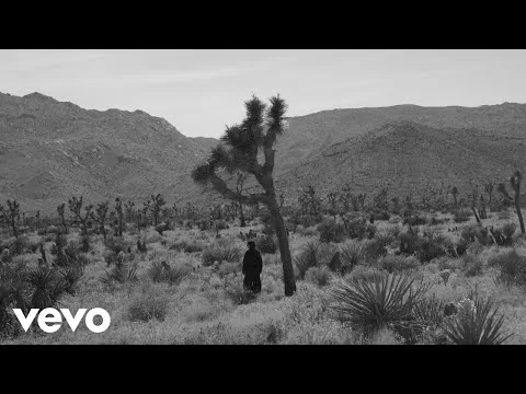 Found official video thumbnail