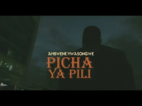 Picha ya Pili official video thumbnail