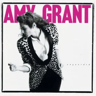 Amy Grant Fight