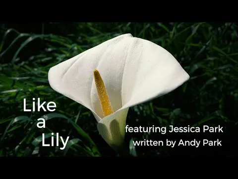 Like a Lily official video thumbnail