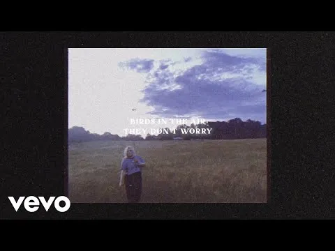Birds by Anna Golden video thumbnail