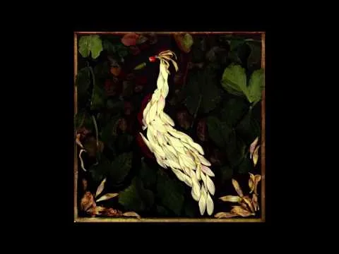 Fortunate Fall official video thumbnail