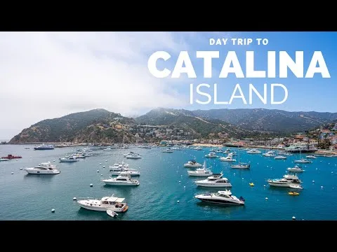 California official video thumbnail