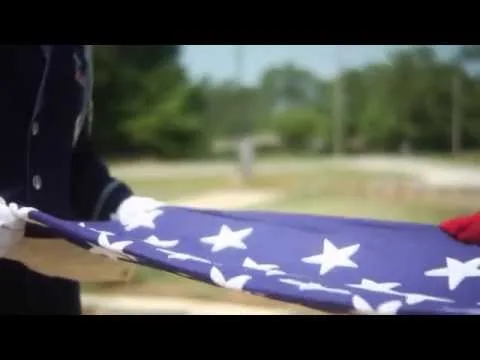 For Freedom by Avalon video thumbnail