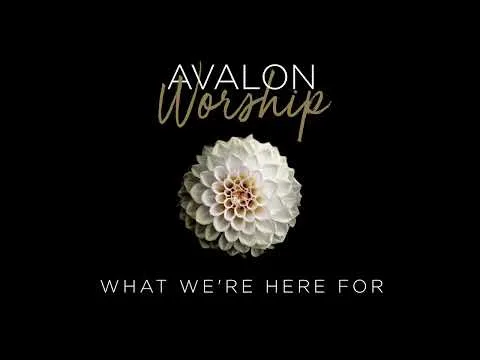 What We're Here For by Avalon video thumbnail