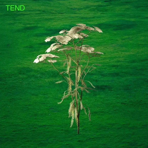 Album Art for Tend