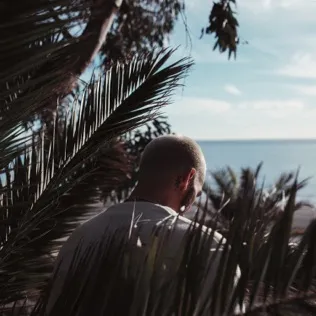 Album Art for Son of David