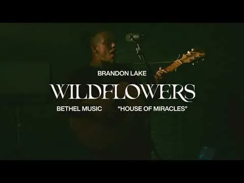 Wildflowers official video thumbnail