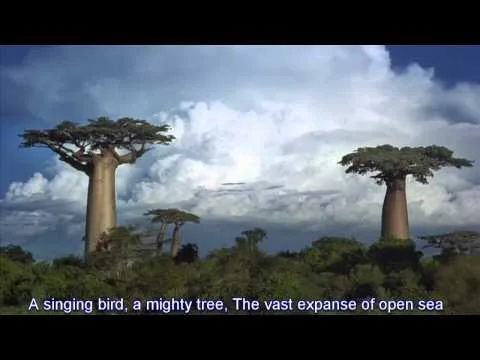 Creation Calls official video thumbnail