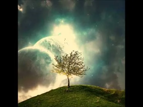 Find Your Resting Place in Me by Bryan McCleery video thumbnail