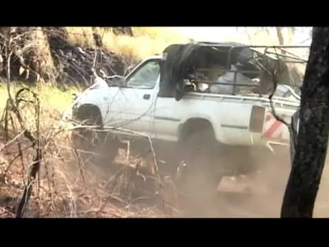Fearless official video thumbnail