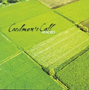 Caedmon's Call Petrified Heart