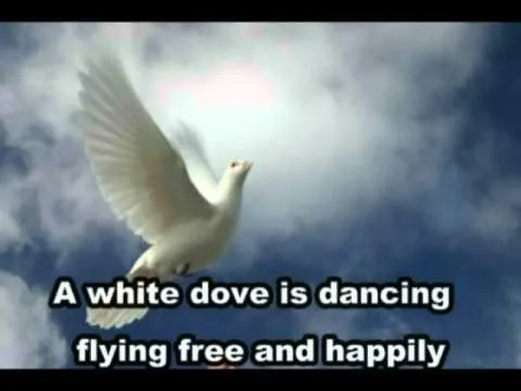 White Dove Fly High official video thumbnail