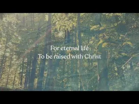 Abide official video thumbnail