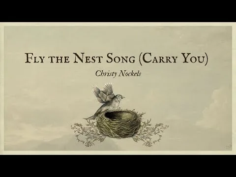 Fly The Nest Song (Carry You) official video thumbnail