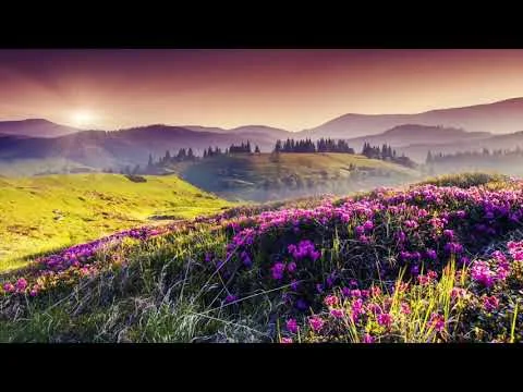 Magnificat by Christy Nockels video thumbnail