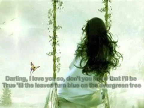 Evergreen Tree official video thumbnail