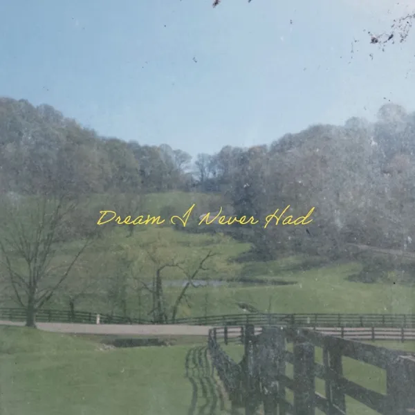 Album Art for Dream I Never Had