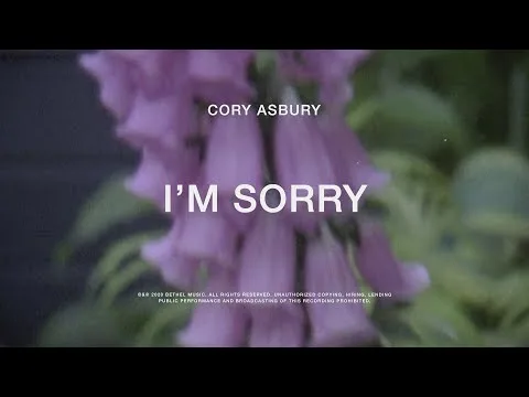 I'm Sorry official video thumbnail