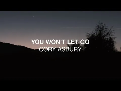 You Won't Let Go official video thumbnail