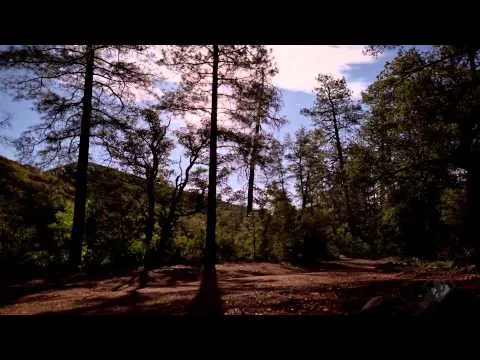 Never Heard Anyone by Darwin Hobbs video thumbnail