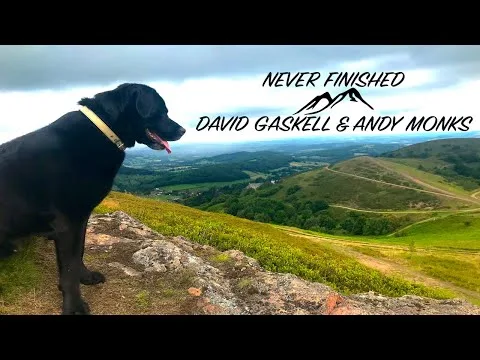 Never Finished by David Gaskell video thumbnail