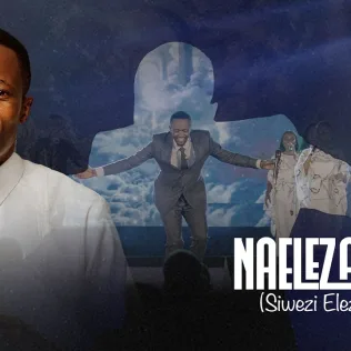 Naelezaje cover art
