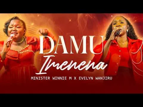 Damu Imenena official video thumbnail