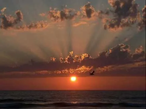 Jesus, King of Angels official video thumbnail