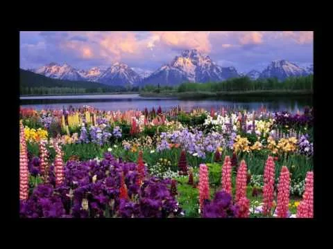 Give Me Wings by Francesca Battistelli video thumbnail