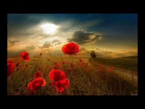 Psalm 63 by Francesca Battistelli video thumbnail