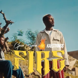 Fire cover art