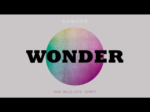 Wonder by Gungor video thumbnail