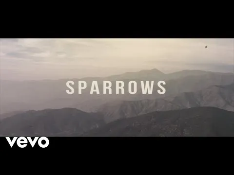 Don't You (Forget About Me) by Hawk Nelson video thumbnail