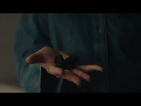 Blackberry official video thumbnail