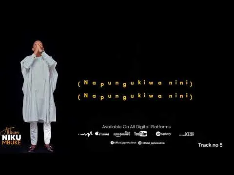 Napungukiwa Nini official video thumbnail