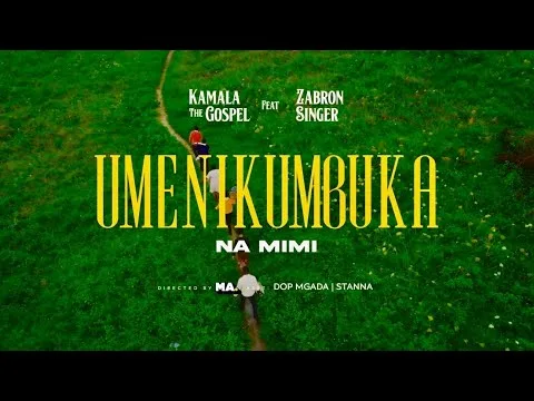 Umenikumbuka Na Mimi by Japhet Zabron video thumbnail