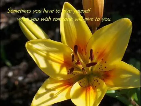I Need You by Jars of Clay video thumbnail