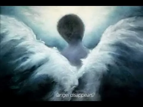 Fly official video thumbnail
