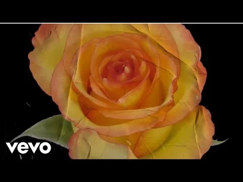 Poetry by Jimi Cravity video thumbnail