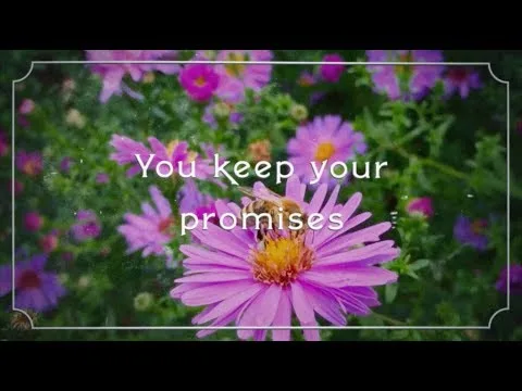 You Keep Your Promises official video thumbnail