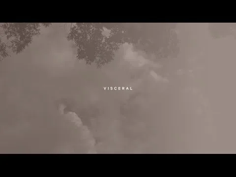 Visceral official video thumbnail