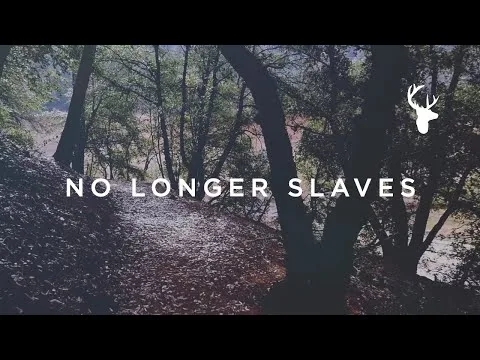 Love Has Won official video thumbnail