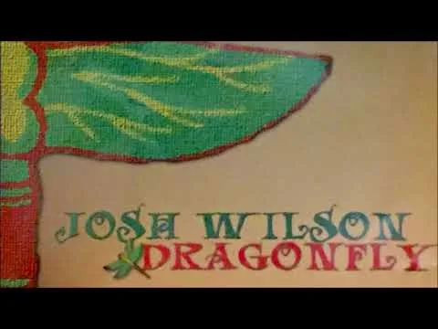 Dragonfly official video thumbnail