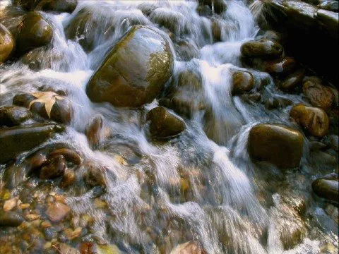 Psalm 23 official video thumbnail