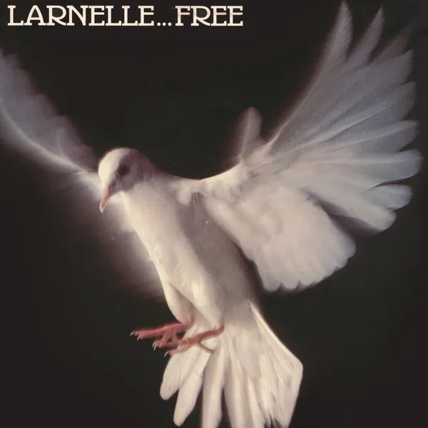 Album Art for Beautiful Music