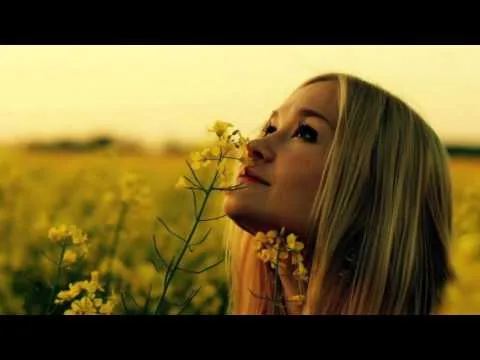 Perfect Peace by Laura Story video thumbnail