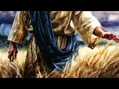 Come, Ye Thankful People, Come by Leigh Nash video thumbnail