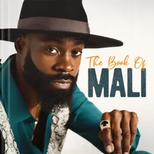 Mali Music Yin and Yang